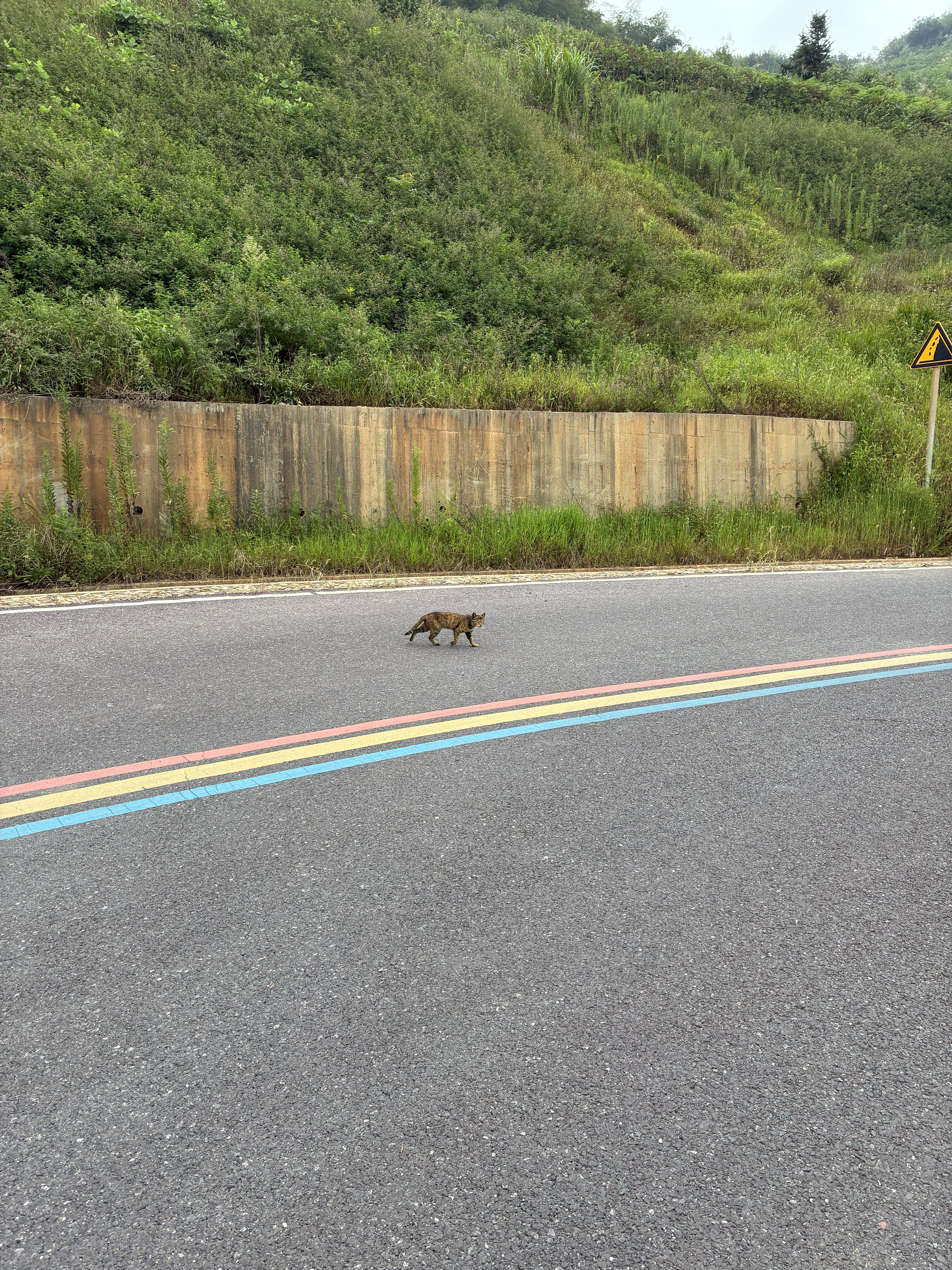 寨基山